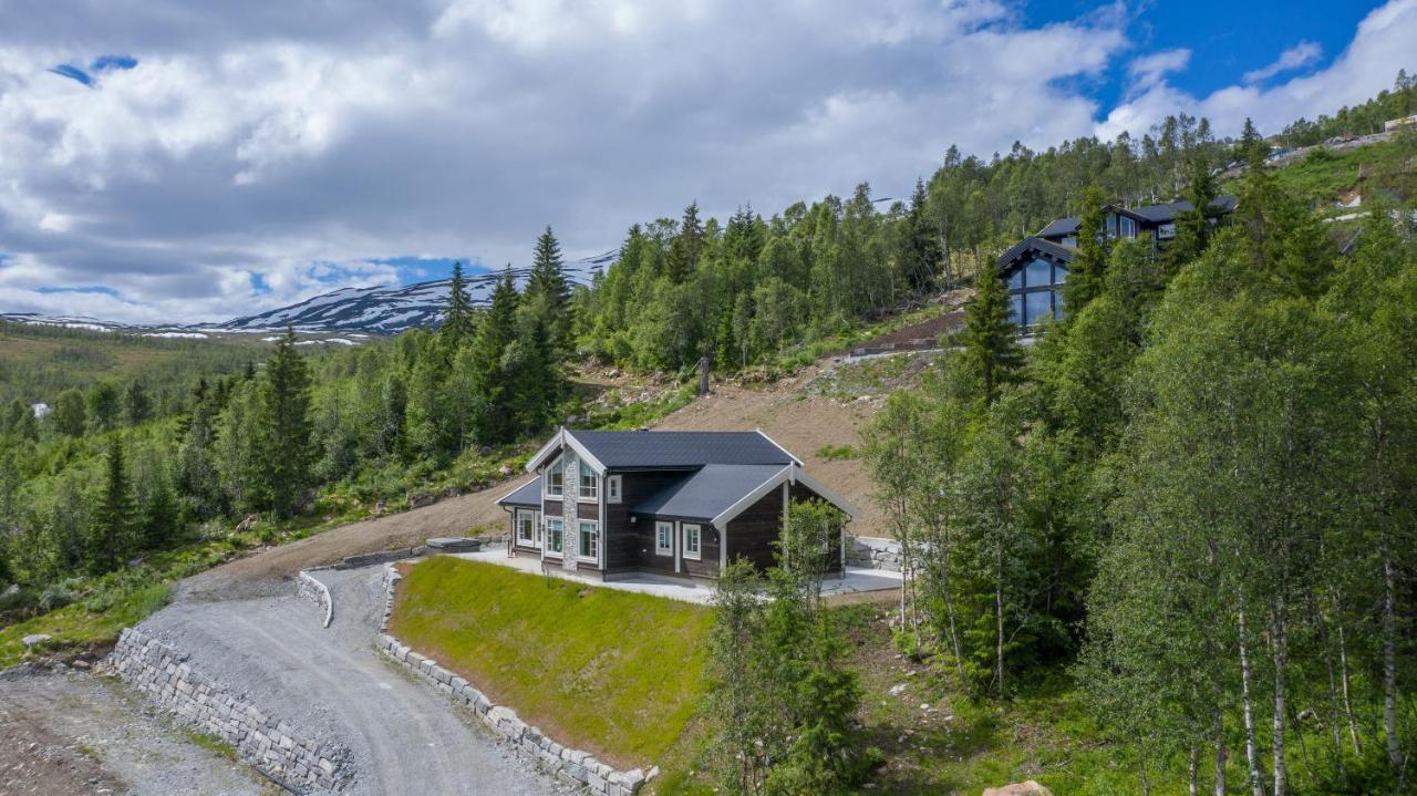 Villa Rolfhytta - Fosskamben 19 Sogndal Exterior foto