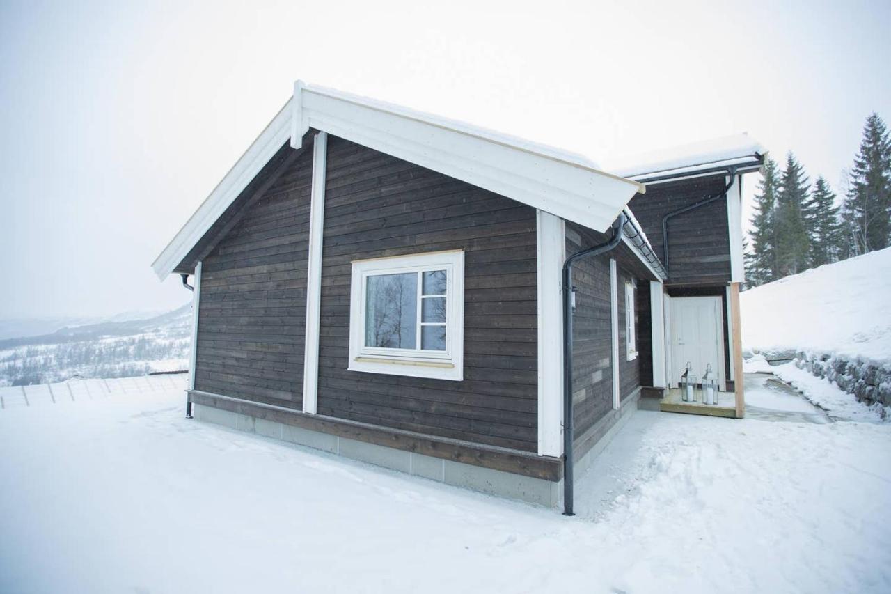 Villa Rolfhytta - Fosskamben 19 Sogndal Exterior foto
